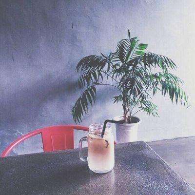 公主换新衣游戏