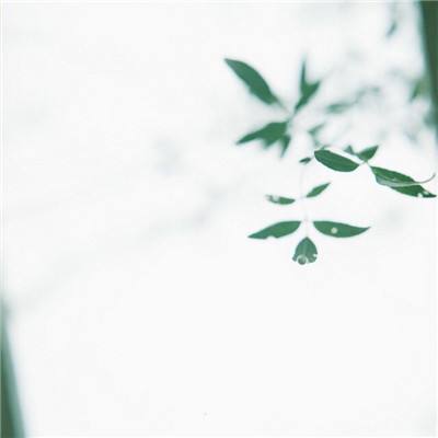 神纪元手游破解版下载